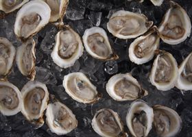Pier 7 Oyster Hour